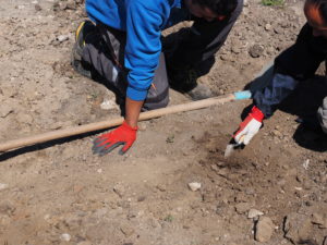 Castel di Guido- - 22 aprile 2017-GAR- Sessione di scavo Villa Romana delle Colonnacce .