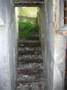 Castel di Guido-Il Degrado del Sito Archeologico Casale della Bottaccia