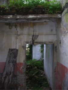 Castel di Guido-Il Degrado del Sito Archeologico Casale della Bottaccia