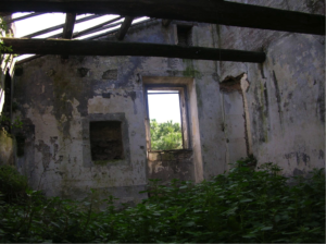 Castel di Guido-Il Degrado del Sito Archeologico Casale della Bottaccia