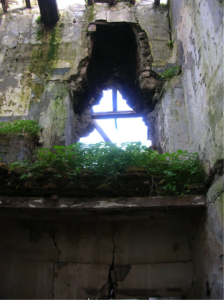 Castel di Guido-Il Degrado del Sito Archeologico Casale della Bottaccia