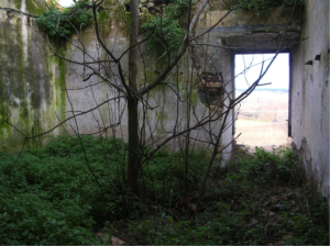 Castel di Guido-Il Degrado del Sito Archeologico Casale della Bottaccia