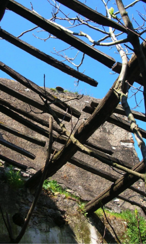 Castel di Guido-Il Degrado del Sito Archeologico Casale della Bottaccia