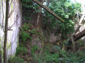 Castel di Guido-Il Degrado del Sito Archeologico Casale della Bottaccia