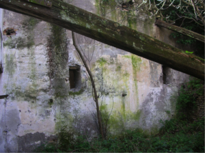 Castel di Guido-Il Degrado del Sito Archeologico Casale della Bottaccia