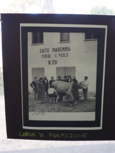 TESTA di LEPRE-Mostra fotografica “MEMORIE di VITA” . 60 anni della Storia del Borgo.