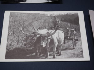 TESTA di LEPRE-Mostra fotografica “MEMORIE di VITA” . 60 anni della Storia del Borgo.