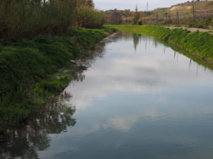 Canale di Bonifica di MACCARESE