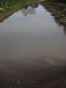 Canale di Bonifica di MACCARESE