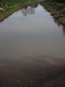 Canale di Bonifica di MACCARESE