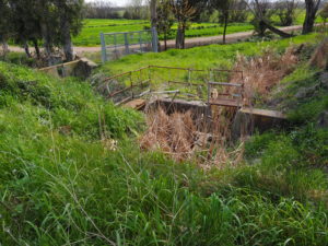 Canale di Bonifica di MACCARESE