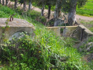 Canale di Bonifica di MACCARESE