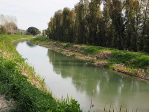 Canale di Bonifica di MACCARESE