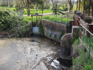 Canale di Bonifica di MACCARESE