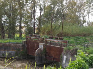 Canale di Bonifica di MACCARESE