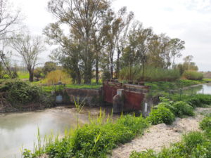 Canale di Bonifica di MACCARESE