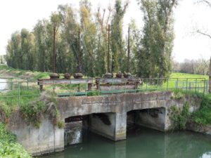 Canale di Bonifica di MACCARESE