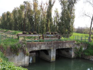 Canale di Bonifica di MACCARESE