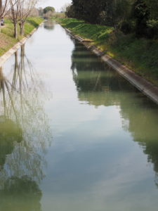 Canale di Bonifica di MACCARESE