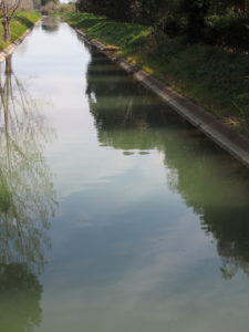 Canale di Bonifica di MACCARESE