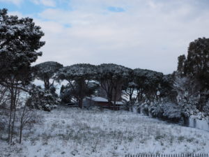 Neve a Castel di Guido - Residenza Aurelia -ore 8:30 del 26 febb 2018