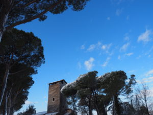 Neve a Castel di Guido - Residenza Aurelia -LA TORRE--ore 8:30 del 26 febb 2018