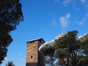 Neve a Castel di Guido - Residenza Aurelia -LA TORRE--ore 8:30 del 26 febb 2018
