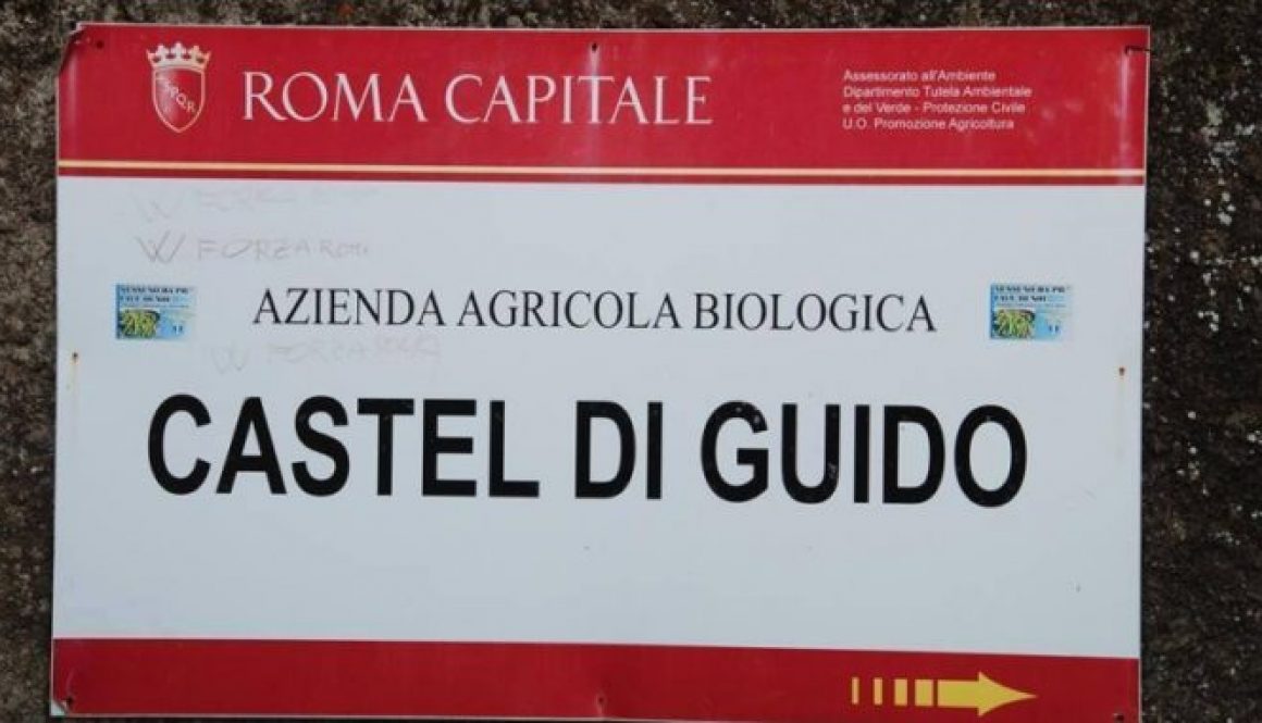 Castel di Guido