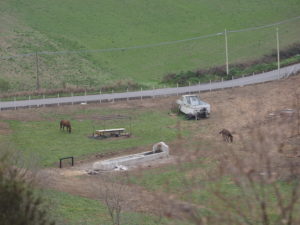 I Fontanili della Campagna Romana-Borgo Tragliata