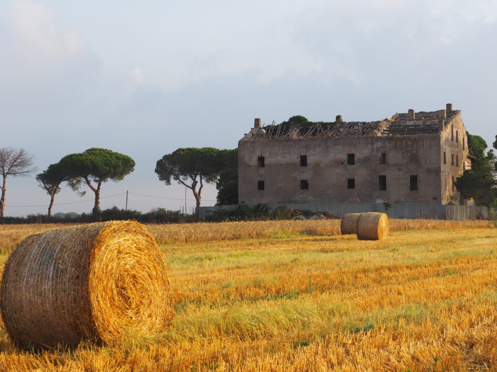 Castel di Guido-Il Degrado del Sito Archeologico Casale della Bottaccia