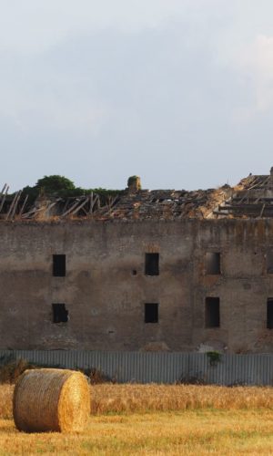 Castel di Guido-Il Degrado del Sito Archeologico Casale della Bottaccia