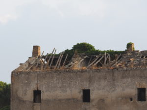 Castel di Guido-Il Degrado del Sito Archeologico Casale della Bottaccia