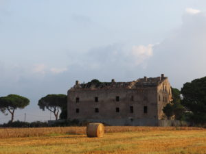 Castel di Guido-Il Degrado del Sito Archeologico Casale della Bottaccia