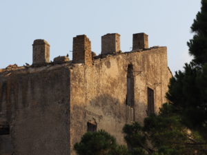 Castel di Guido-Il Degrado del Sito Archeologico Casale della Bottaccia