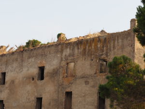 Castel di Guido-Il Degrado del Sito Archeologico Casale della Bottaccia