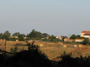 Borgo Testa di Lepre Comune di Fiumicino -ROMA