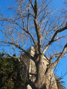 FIUMICINO-Torre di Maccarese nota come Torre Primavera