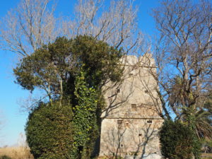 FIUMICINO-Torre di Maccarese nota come Torre Primavera