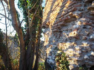 ROMA- Municipio XIII- Castel di Guido, Torre della Bottaccia