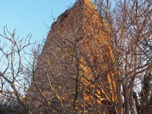 ROMA- Municipio XIII- Castel di Guido, Torre della Bottaccia