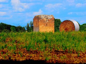 ROMA- Municipio XIII- Castel di Guido, Torre della Bottaccia