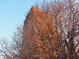 ROMA- Municipio XIII- Castel di Guido, Torre della Bottaccia