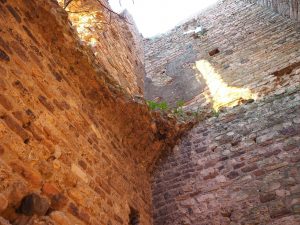 ROMA- Municipio XIII- Castel di Guido, Torre della Bottaccia