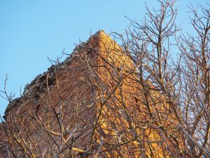 ROMA- Municipio XIII- Castel di Guido, Torre della Bottaccia