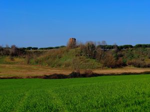 Torre della BOTTACCIA