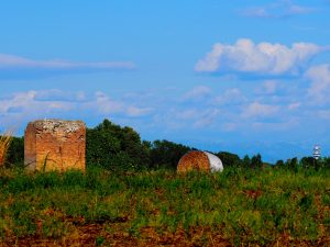 Torre della BOTTACCIA