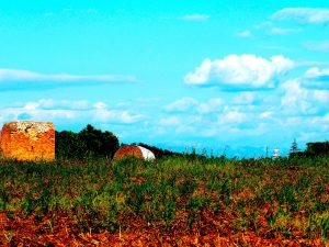 Torre della BOTTACCIA