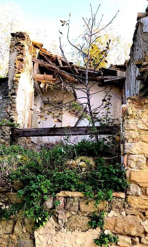 Rudere
