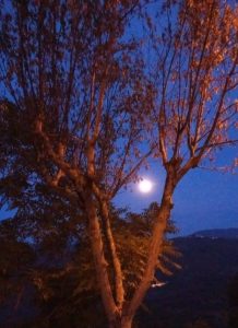 Castelnuovo di Farfa, gli speroni della Luna.