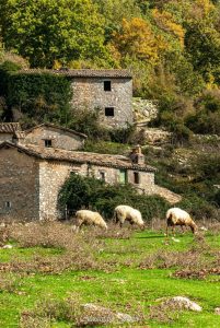 ALESSANDRA FINITI Fotoreportage "Autunno in Sabina"